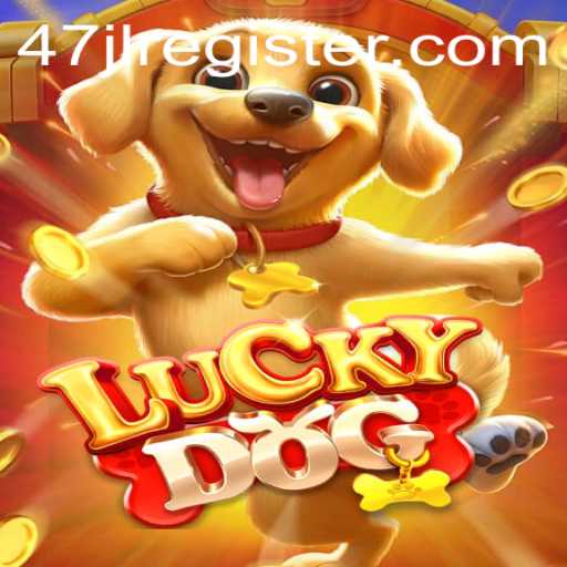 LuckyDog: An Immersive Gameplay Adventure with 47JL